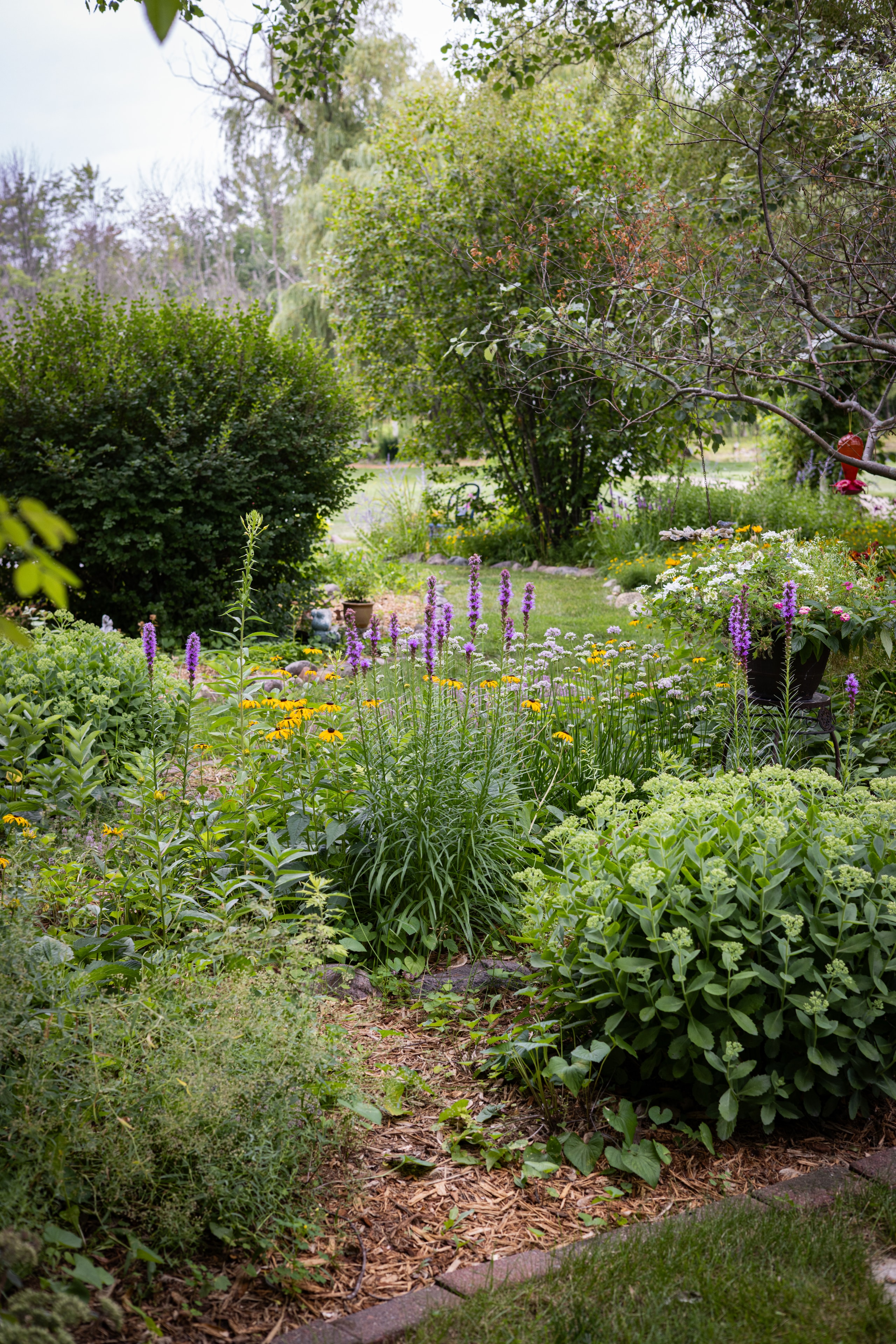 The Willow Pond gardens at Hibiscus